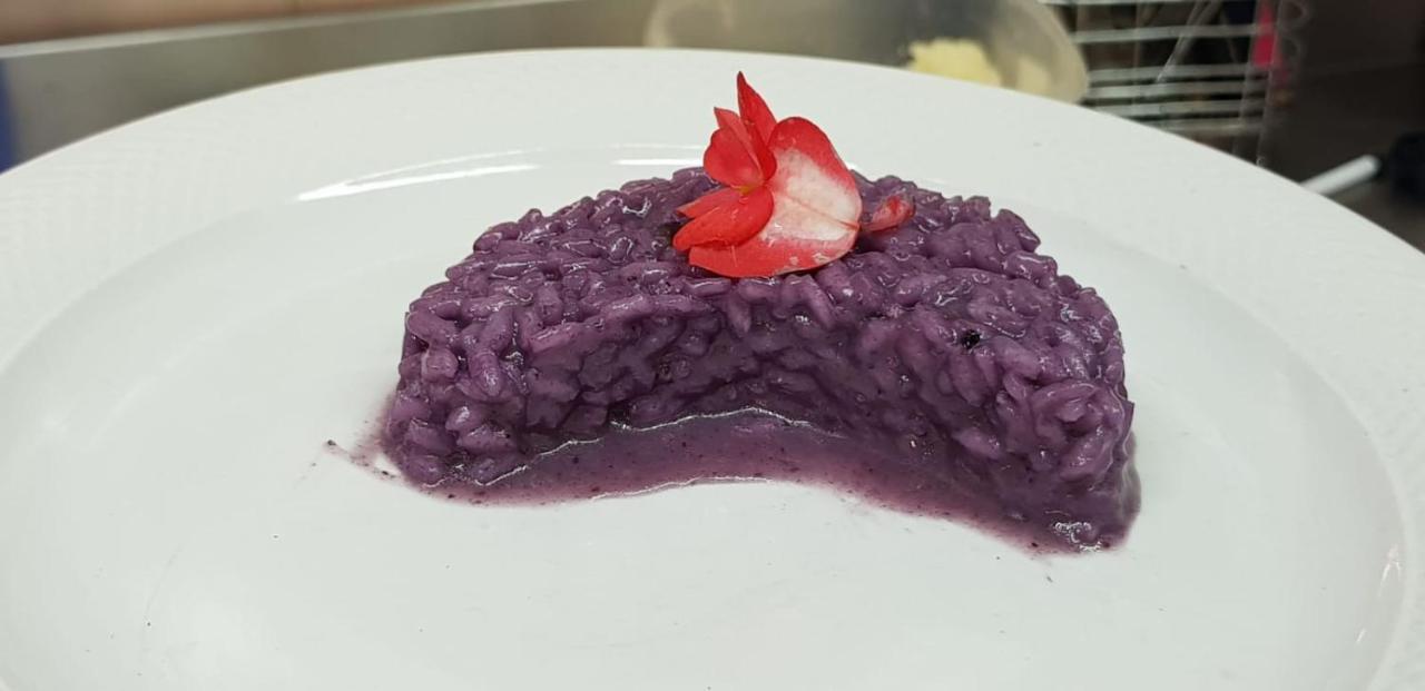 Hotel Le Giare Marina di Pietrasanta Zewnętrze zdjęcie