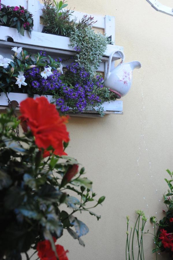 Hotel Le Giare Marina di Pietrasanta Zewnętrze zdjęcie